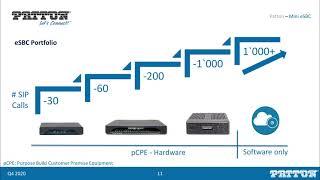 Patton SmartNode SN500