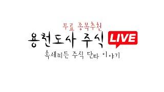 [ 실시간 주가 분석 ] 06월 24일 화요일  용천도사 주식 단타 라이브   Feat. 종목 추천