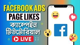 Facebook Page Likes ad Campaign |  Increase Facebook Page Likes | Facebook Ads Tutorial 2024