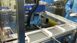 Facial Cleanser/Skincare/Box Packing Machine/Cartoning Machine/SICIAUTO