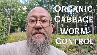 ORGANIC Cabbage Worm Control