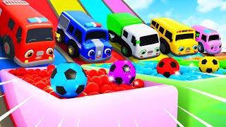 Count numbers and sing songs - Finger Family + Wheels on the Bus | Baby Bus Kids Songs