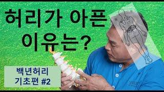 허리가 아픈 이유는? (백년허리 기초편#2)