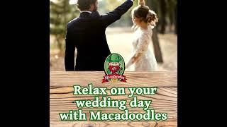 Make your wedding easy with Macadoodles!