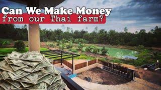 Can we really make money from our farm in Thailand?..