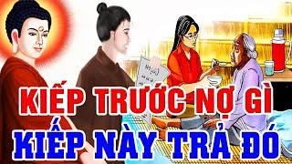 Nhân Quả Báo Ứng, KIẾP TRƯỚC NỢ GÌ KIẾP NÀY TRẢ ĐÓ - Luật Nhân Quả Báo Ứng Không Trừ Một Ai | Truyện