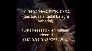 የአማርኛ እና ኦሮምኛ ተረትና ምሣሌዎች[mamaaksa afaan oromo]