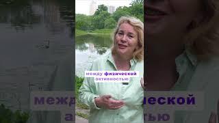 «Как обычные дела превращаются в развитие: физическая активность без тренировок»  #воспитание