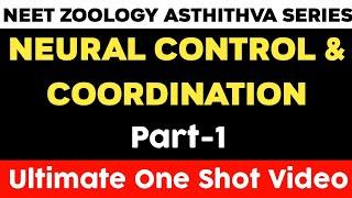 Neural Control and Coordination Part - 1 | Asthithva Series Zoology | Vishnu's Smart Info