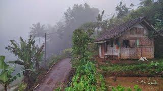 Cold ‼️ Foggy morning in the highest village in Ciamis, a rural atmosphere with natural mountain