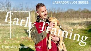 Labrador puppy training "Flows Vlog -Ep-2"