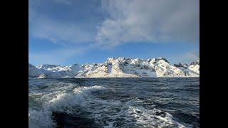 Fishing Norway Cod Halibut Skrei Senja Mefjord 2024 Northern Lights Humpback Whale Deep Sea Fishing