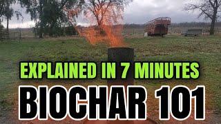 EVERYTHING YOU ever WANTED to KNOW about BIOCHAR 