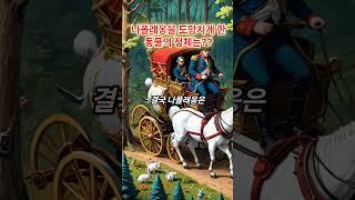 나폴레옹을 도망치게 한 동물의 정체는?