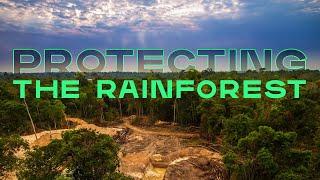 This $10 Million Competition Will Protect the Amazon and Rainforests Worldwide