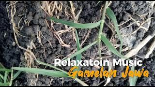 Calm Village Atmosphere Makes You Relax: Javanese Gamelan Village Relaxation Music