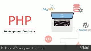 PHP web Development Company in india