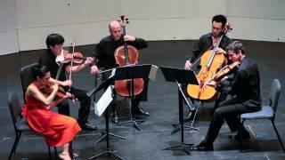 Schubert String Quintet in C D 956 FF2014