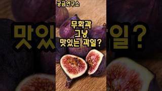 무화과, 그냥 과일 아님! 건강폭탄 이유 3가지 | 궁금연구소 |