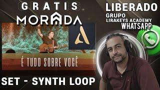 SYNTH LOOP - MORADA  GRÁTIS Audio Evolution