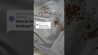 Professional Heat Treatment! #bedbugs #bedbug #bedbuginfestation #bedbugtreatment