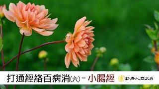 肩頸痛竟是「心肌梗塞」前兆 打通小腸經能預防心臟病您知道嗎？｜ 小腸經 ｜ 談古論今話中醫(382)