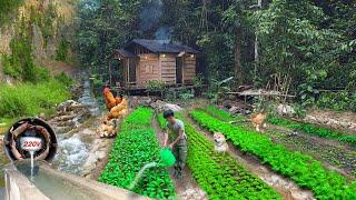 Build houses, fish ponds, gardens, hydroelectric, alone build life last for hundreds years in forest