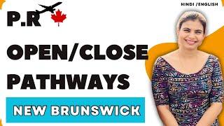 Explore Permanent Residency Pathways  || 2024-25 || New Brunswick  || Hindi || Canadian desire