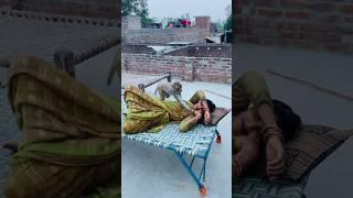 Itni kirpa sanware banaye rakhna #shree_krishna_ringtone #monkeyvideosforkids #monkey