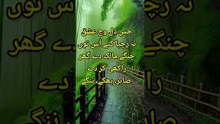 Short Potrry Mian Muhammad Bakhash Kalam|#shorts #viral
