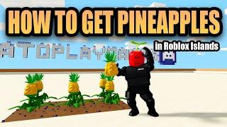 How to Get Pineapple in Roblox Islands!! Island Update Guide