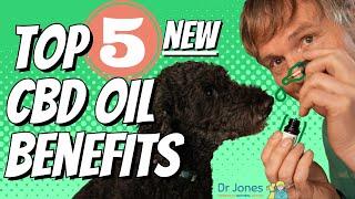 CBD for Dogs and Cats: Top 5 New Treatments