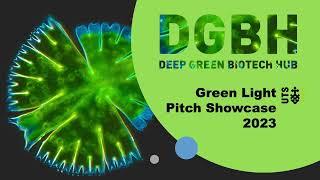 Green Light Pitch Showcase 2023