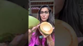 Чем отличаются кокосы и как правильно выбрать