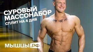 +6 кг! Массонаборная Программа Тренировки. Сплит на 4 дня