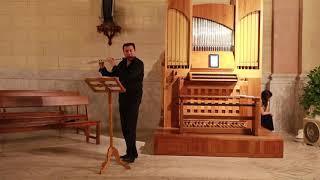 Marin Marais - Les follies D' Espagna for flute solo