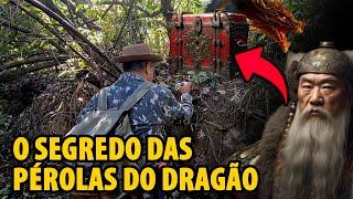 Em Busca das Pérolas do Dragão: A Aventura Proibida na China Antiga