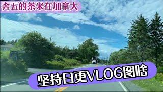 做了一年半的VLOG，茶米在加拿大当下的思考