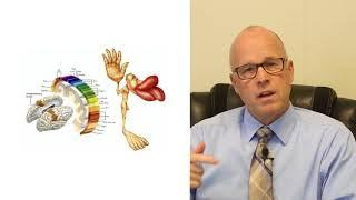 Supporting Your Brain Health