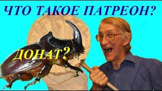 Кто Такой Патреон Спонсор? Любителям Насекомых Про Патреон. Школа Энтомолога. Welcome to My Patreon.