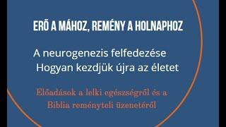 A neurogenezis felfedezése - Hogyan kezdjük újra az életet