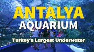 Antalya Aquarium: Exploring Turkey's Largest Underwater Paradise!