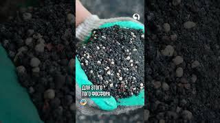 Подкормка ПИОНОВ по месяцам
