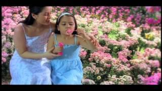 Trevor Hone Showreel 2013 (Director/DOP)