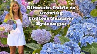 ULTIMATE GUIDE TO GROWING ENDLESS SUMMER HYDRANGEA