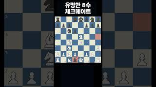 유명한 8수 체크메이트 패턴