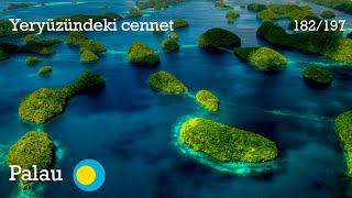 Yeryüzündeki cennet: Palau  (182/197)