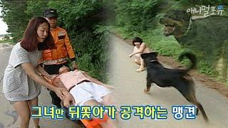 맹견을 맞닥뜨린 두 사람, 그 중 한 사람만 공격을 당한 이유는?!｜KBS 위기탈출 넘버원 110725 방송