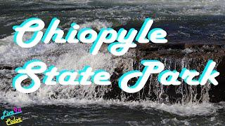 LiveInColor in the Wild: Ohiopyle State Park