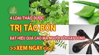 4 loại thảo dược trị táo bón thông dụng đạt hiệu quả cao mà người đời hay sử dụng